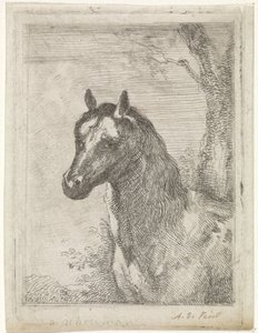 Cabeza de caballo de Aert Schouman (signed by artist)