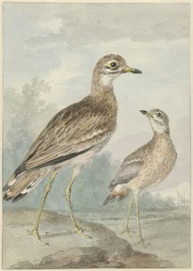 dos caprichos de Aert Schouman