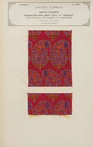 Muestra de tela de seda con dibujos hecha en Herat, de La Colección de los Fabricantes de Textiles de la India, por John Forbes Watson, publicada en 1866 de Afghan School