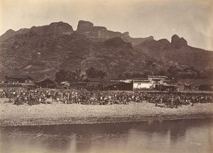Mercado de patos, ca. 1869 de Afong Lai