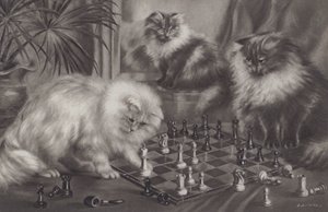 Grupo de gatos jugando con piezas de ajedrez de Agnes Augusta Talboys