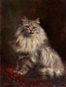 Gato persa, c.1908-20