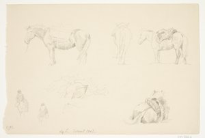 Estudio de caballos de Agnes Lunn