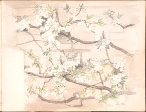 Cuaderno de bocetos. Julio 1899 - junio 1901 de Agnes Slott Møller