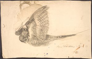 Estudio de un pájaro muerto de Agnes Slott Møller