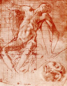 Estudios de Agnolo Bronzino