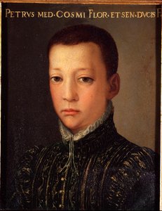 Retrato de Don Pietro de Medicis (1554-1604) de Agnolo Bronzino