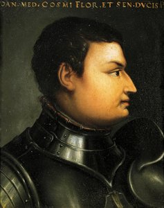 Retrato de Lodovico de Medici, también conocido como Giovanni dalle Bande Nere de Agnolo Bronzino