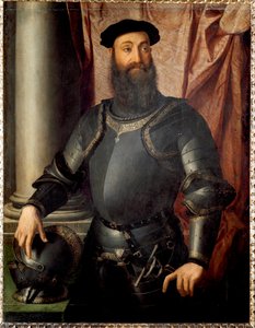 Retrato del Condotiero Stefano Colonna de Agnolo Bronzino