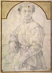 Estudio para un joven con un laúd de Agnolo Bronzino