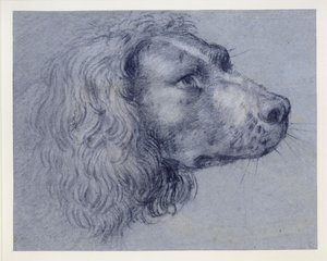  de Agostino Carracci
