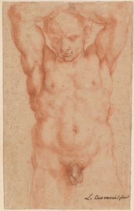 desnudo masculino de Agostino Carracci