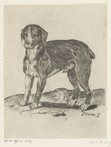 perro de pie de Agostino Carracci