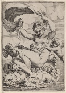 Venus o Galatea sostenida por delfines de Agostino Carracci