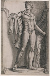 Speculum Romanae Magnificentiae: Apolo Belvedere de Agostino Veneziano