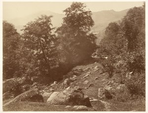 La Vallée du Lys (Coup de Vent) de Aimé Civiale
