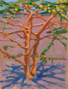 Acacia en la sabana de Akseli Gallen-Kallela