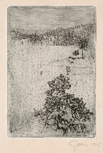  de Akseli Gallen-Kallela