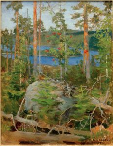 Vista del lago Jamajärvi