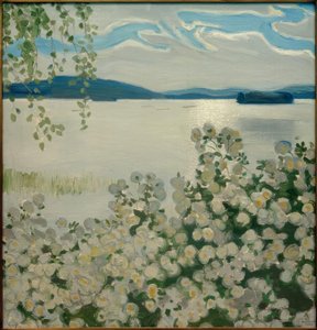 Rosas blancas