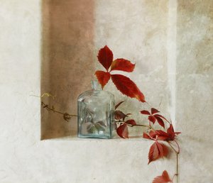 Un rincón tranquilo de otoño de Ala Pneuma