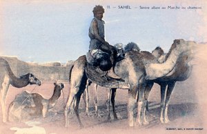 Serere, el Sahel, Senegal, siglo XX
