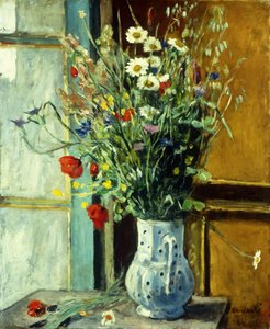 Flores silvestres; Fleurs des Champs