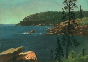 Costa de California
