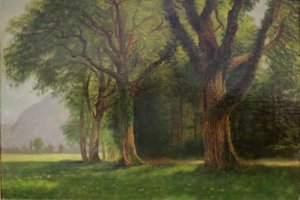 En el Valle del Yosemite de Albert Bierstadt