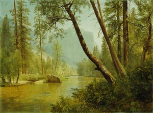 Bosque iluminado por el sol de Albert Bierstadt