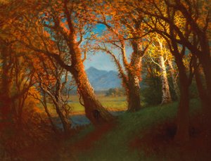 Atardecer en el Territorio de Nebraska de Albert Bierstadt