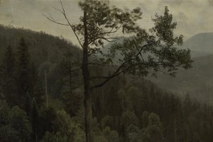 Montañas arboladas de Albert Bierstadt