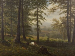 Vista a un claro de Albert Bierstadt
