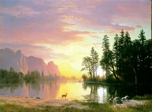 Valle de Yosemite