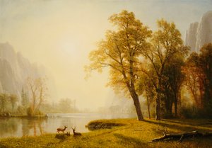 Valle de Yosemite