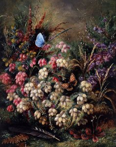 Mariposa en el brezo de Albert Durer Lucas