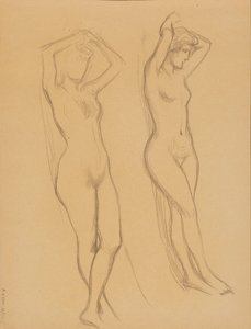 Desnudo