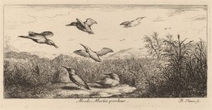 Alcedo, el martín pescador