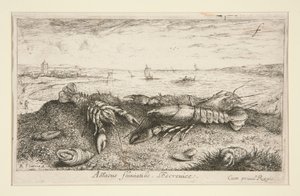 Astacus fluriatilis. L de Albert Flamen