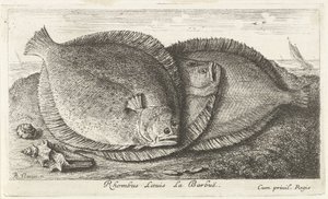 Tres pollitos en la playa Rhombus Laeuis La Barbuë (título sobre objeto) Peces y otras criaturas marinas: tercera serie de agua salada (título de la serie) Poissons de mer (título de la serie) de Albert Flamen