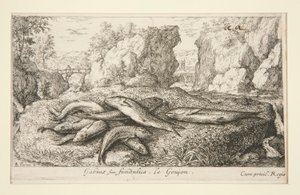 Gabius o Fundus. Le Goujon de Albert Flamen