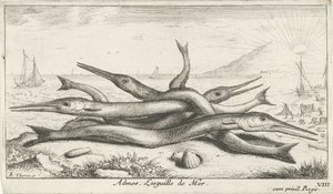 clavado en la playa Admos. Lesguille de Mer. (título en el objeto) Peces y otras criaturas marinas: tercera serie de agua salada (título de la serie) Poissons de mer (título de la serie) de Albert Flamen