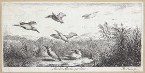 El pescador (Alcedo) de Albert Flamen