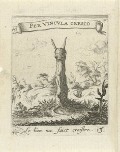 Paisaje con tocón de árbol Emblemas de amor moralizantes (título de la serie) Devises et emblesmes d
