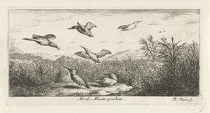 Paisaje con martines pescadores alcedo; Martin-pecrack. (título en el objeto) Libro de aves (título de la serie) Livre d