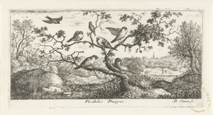 Paisaje con agachadizas ficédula; Piuoyne. (título en el objeto) Libro de aves (título de la serie) Livre d
