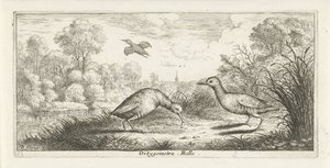 Paisaje con dos rieles en un banco Ortigómetra. regla (título en el objeto) Libro de aves (título de la serie) Livre d