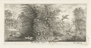 Paisaje con agachadiza Menor rústico. beccasin (título en el objeto) Libro de aves (título de la serie) Livre d