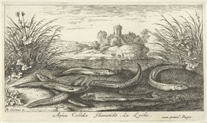 Lochas en la orilla de un río Apua Cobitis fluuitilis. LaLoche. (título en el objeto) Peces y otras criaturas marinas: segunda serie de agua dulce (título de la serie) Seconde partie de Poissons d