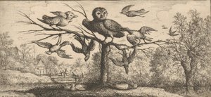 Monedula, Chouëtte El Búho: Libro de Aves, 1655-1660 de Albert Flamen